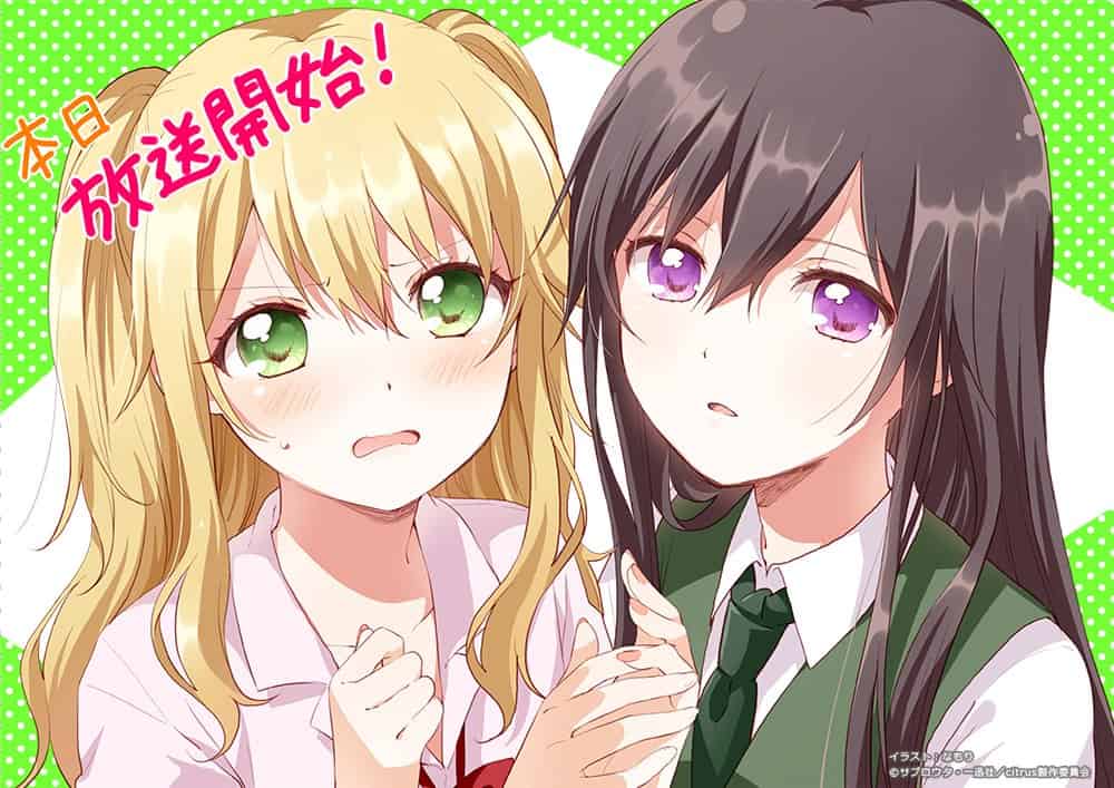 Citrus Subtitle Indonesia Batch