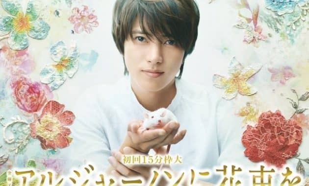 Algernon Ni Hanataba O Subtitle Indonesia Batch