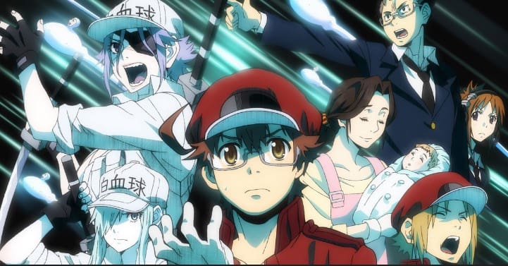 Hataraku Saibou Black Subtitle Indonesia Batch